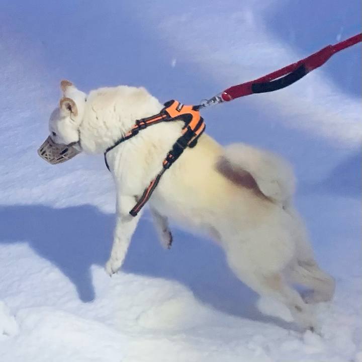 2c4b62bd 84f8 4216 9b99 2dff6b3bb717 1671919404805