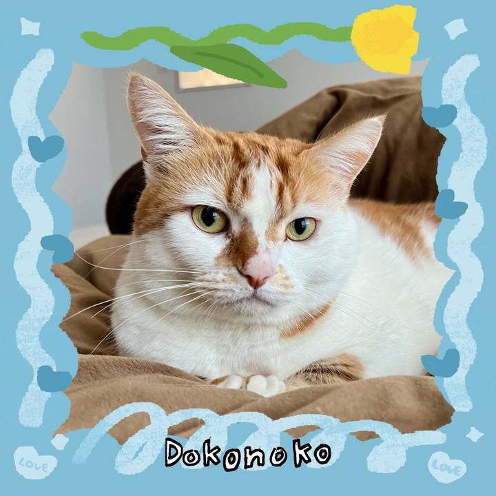 2c4b6754 624a 4e4f 97e5 99917504e825 1772076822209