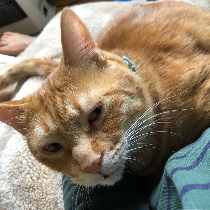 2c4b7979 d11c 4cbc b7f5 b8af156416d4 1559339343614