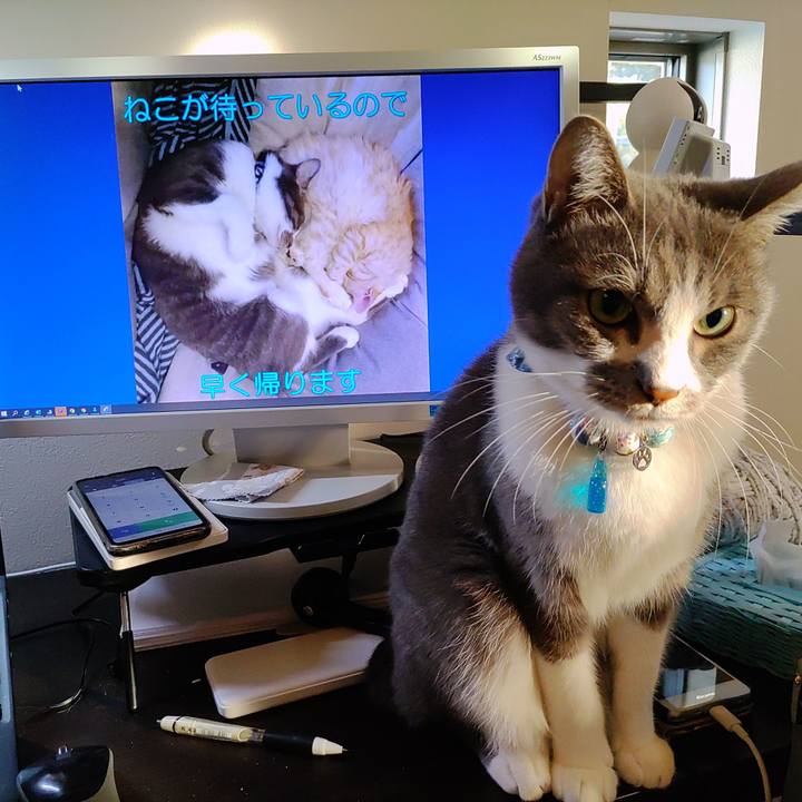 2c4c1f79 770a 433a b897 75bc4385cece 1668502837583