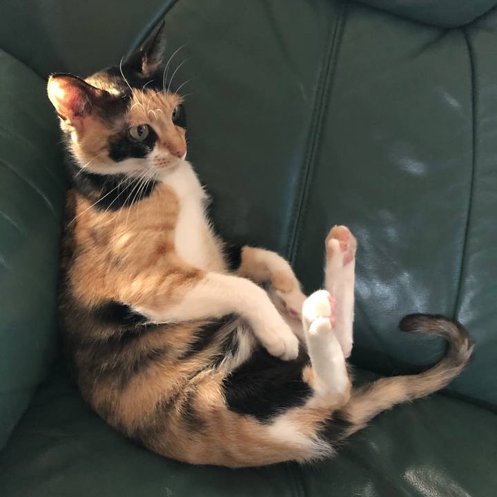 2c4c3754 fc42 479c bda5 f12bd9cfc1c0 1553563561783