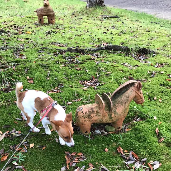 2c4c5761 9677 489e 990e 79c5e04b9c75 1629928665513