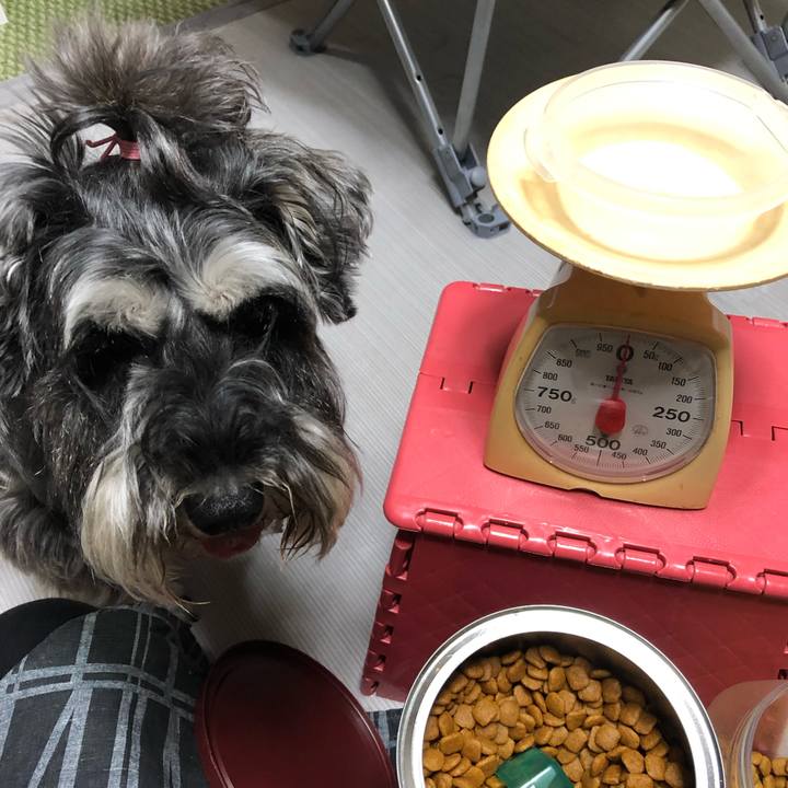 2c4c6870 cab5 4fa0 9205 8052256eafff 1562985006277