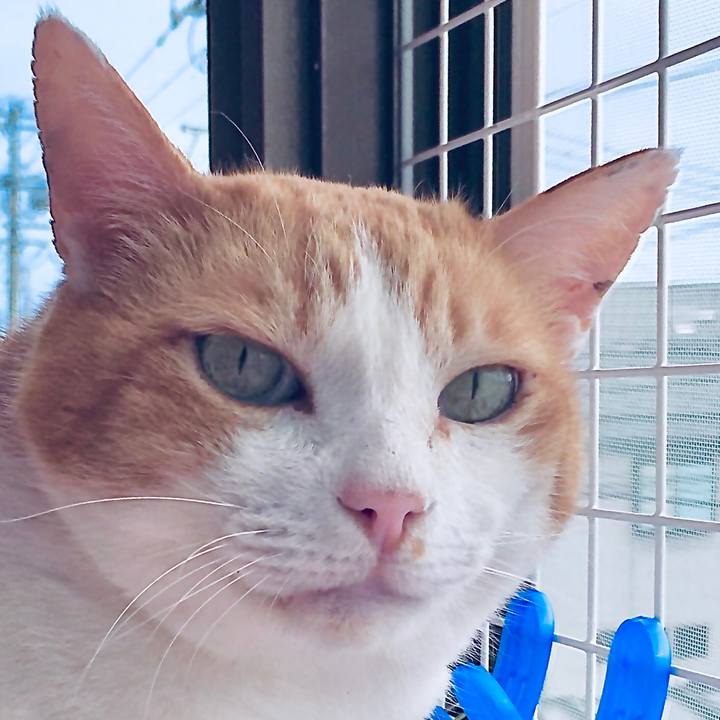 2c4c8087 a52b 4296 87c0 1e9809785c4d 1592281830233