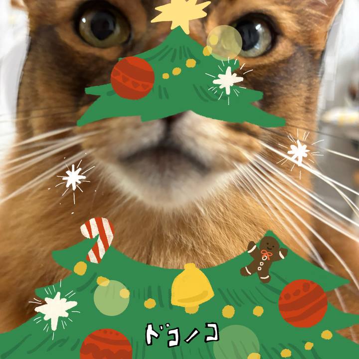 2c4cce22 f244 47fb 9e7f eeb7422c9ef2 1761213729239