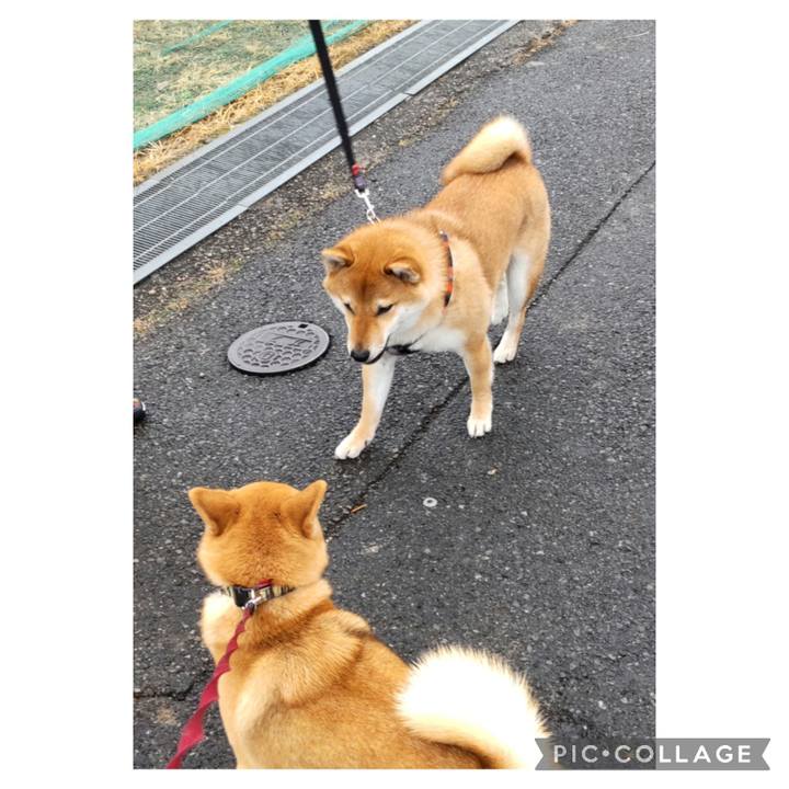 2c4ce300 dd68 4dba b362 d1341b41ce7b 1675732214727