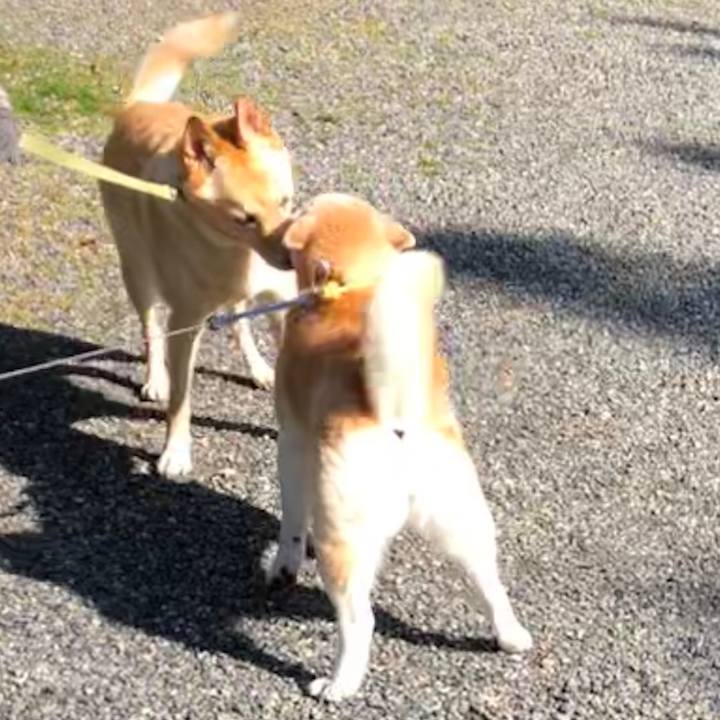 2c4d0db0 f97a 4dad b795 00275c985396 1549597579829