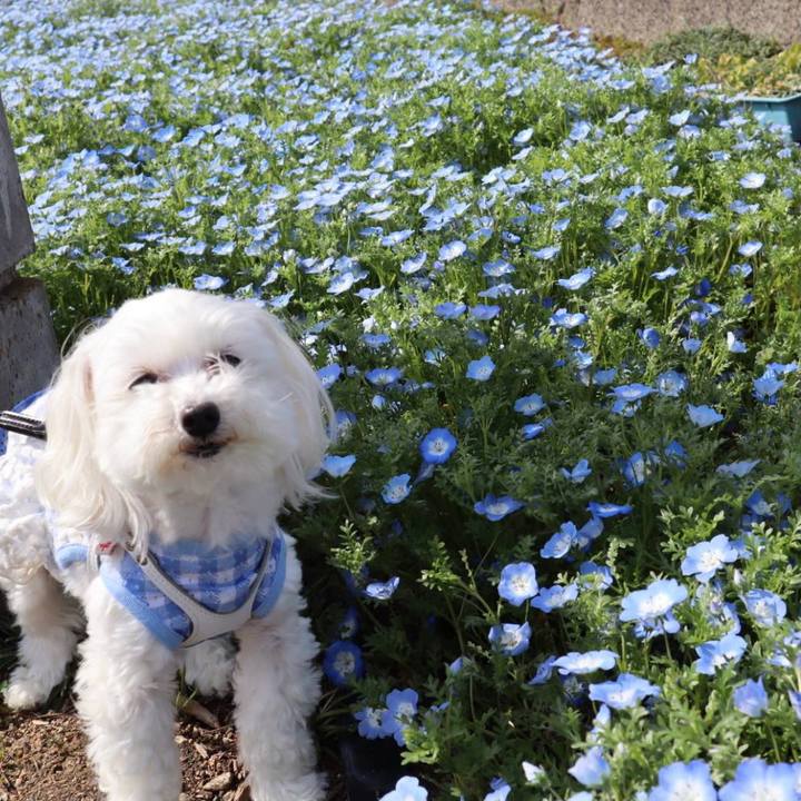 2c4d3ca5 4bd8 4c84 bb8e b57cf7df05b4 1616847258447