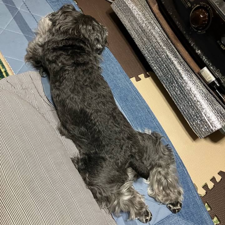 2c4d6ea0 2d87 4ed8 9da8 11697c1b319b 1716802982732