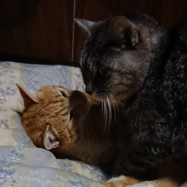 2c4d8462 6ddc 4393 8716 3454a8ef3e1f 1579953637007