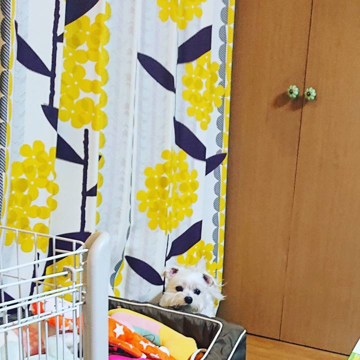 2c4dabf4 51a7 46f1 ac60 335e70dfb483 1614215207552