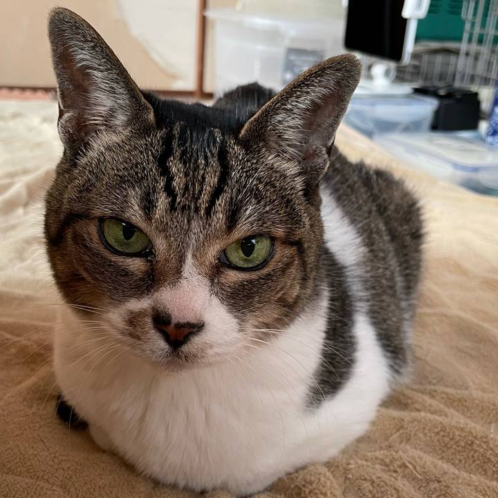 2c4db6e7 2266 4e55 9d30 8e78d597f644 1644806093740