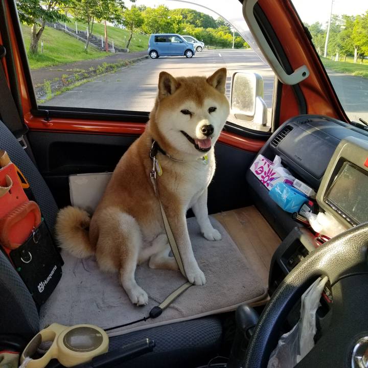 2c4dbd97 4b9d 4b45 94c5 60b08a84d24b 1653726462250