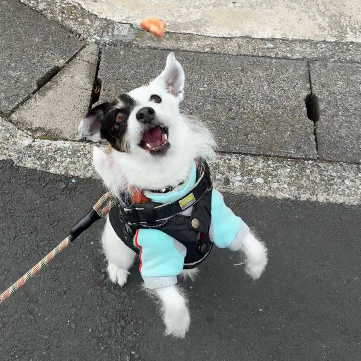 2c4dcae9 adb8 40a3 91b0 2c5769d78209 1768956717245