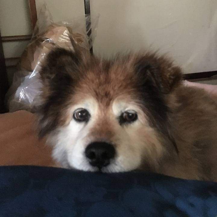 2c4df051 c57a 4b19 a8be c7adffa3cec6 1581812861738