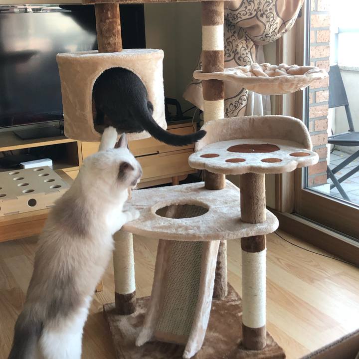 2c4e33c7 63f6 4e4c 90a0 9759ae4fb147 1571023996892