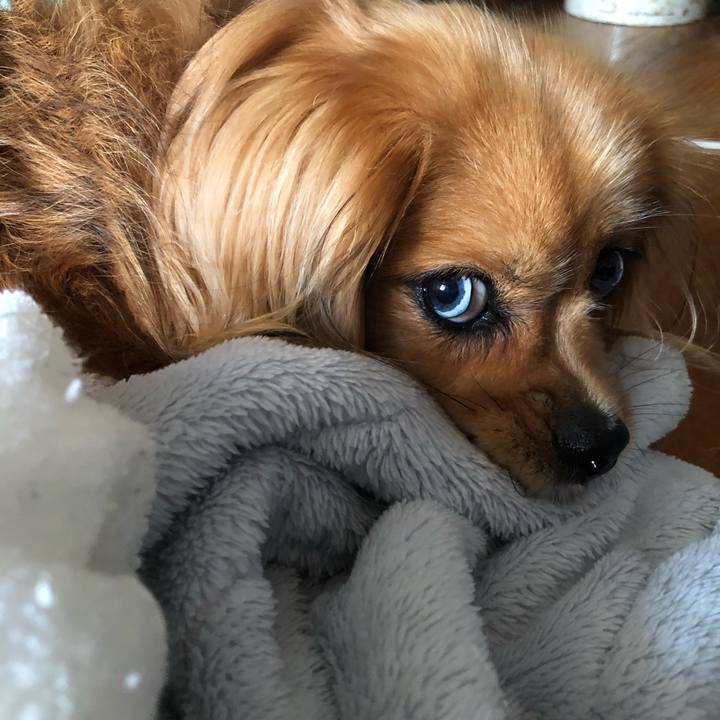 2c4e408f 9017 4d16 ba11 da3906a35daa 1564091024954