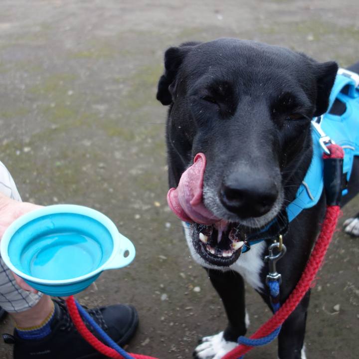 2c4e4b22 2787 4e8b 8ee8 b7500d38d8cd 1632011552579