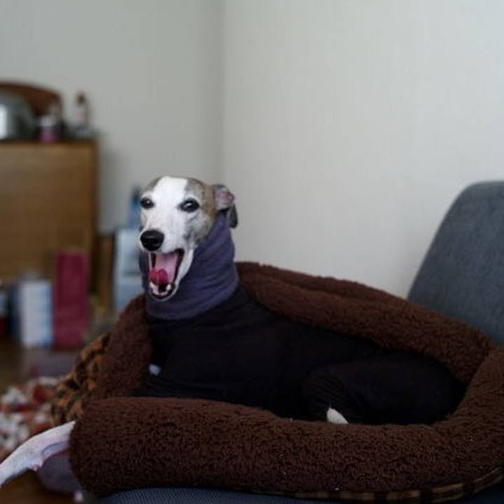 2c4e67f9 1f2e 4cb3 805e 6808a8818f5e 1512726736958