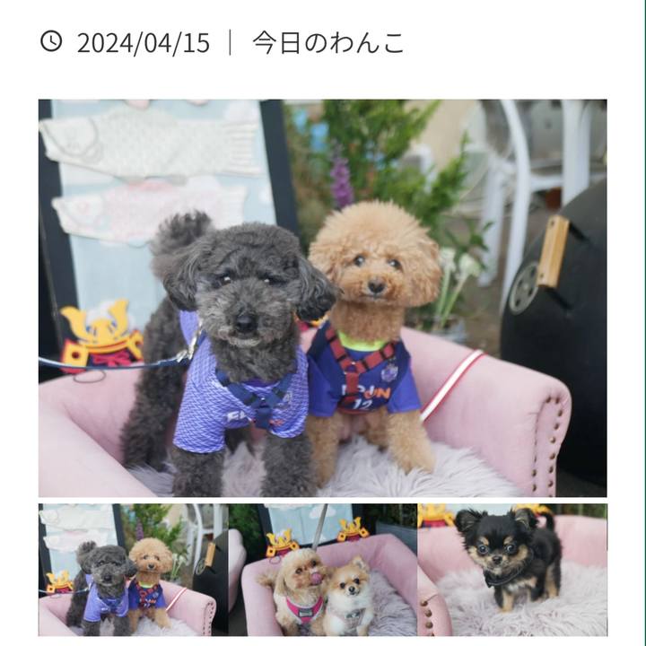 2c4eb64c 3990 4b89 ac8c 2944488e09b7 1713699055692