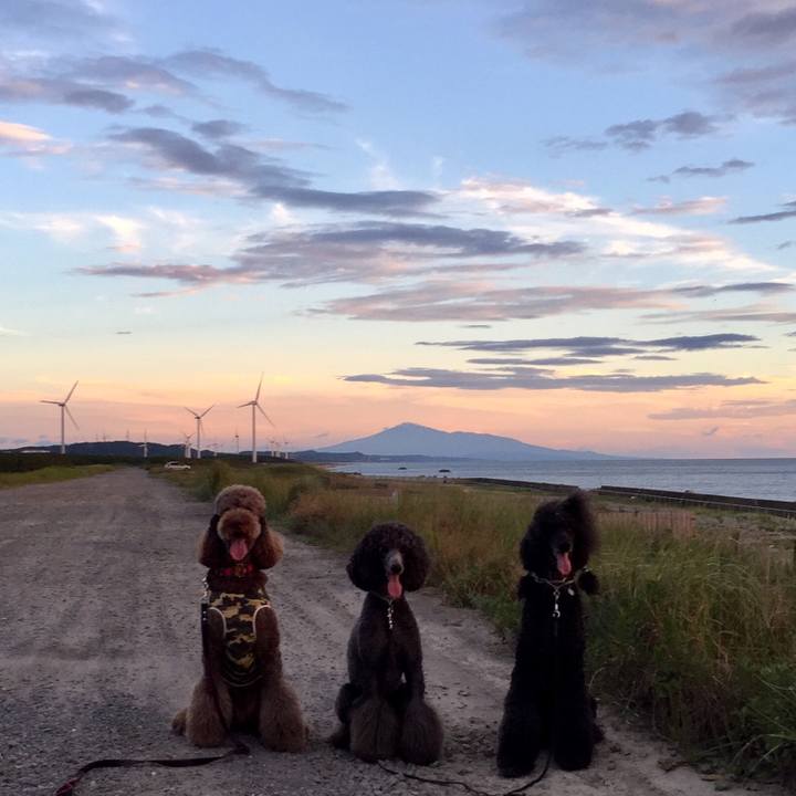 2c4ed07c 80ef 4841 83a1 49f899c75054 1533198957858