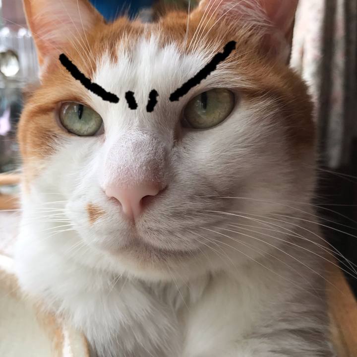 2c4edfad bc9a 4ddb 8f42 4c9bc47a909a 1565995554465