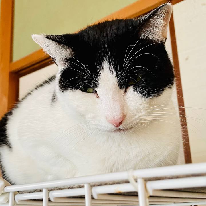 2c4ee58b cbdf 448f 9a5d 29d94fca9ab1 1611020183839