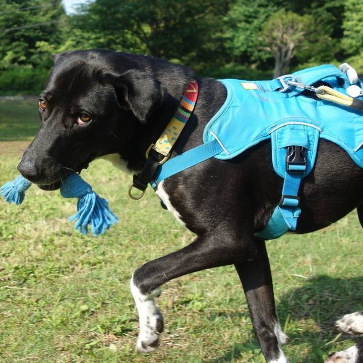 2c4eed4b 285c 4a67 b947 cc0372f6983c 1623280793614