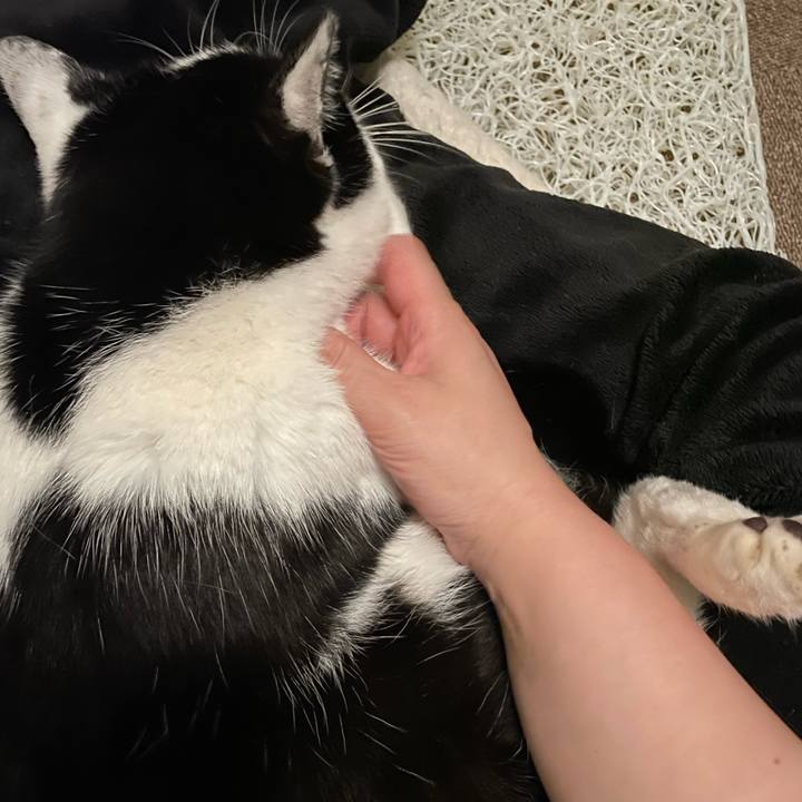 2c4f08c7 2912 4d6a 8048 d59718c5a1b4 1713108626609