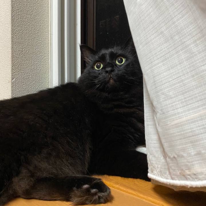 2c4f0c9c 5794 4289 b029 c1ca72da1433 1598839640708