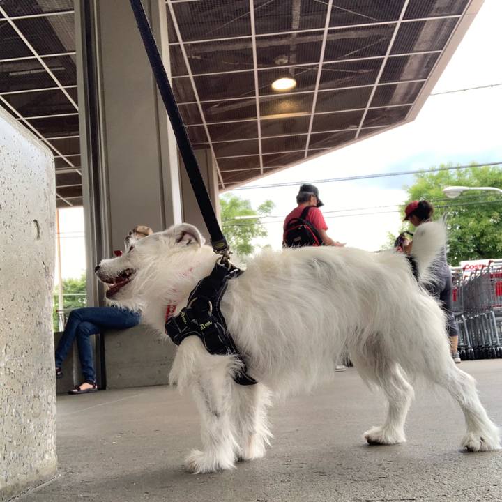 2c4f4875 fcc6 4e84 8653 004686843f3b 1567838489105