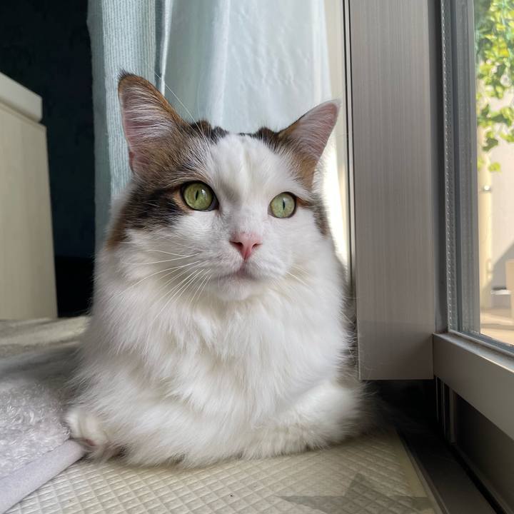 2c4f603e 52bc 49f4 912e f2537110f115 1768273050815