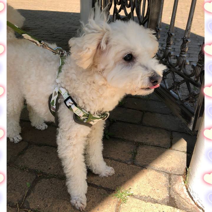 2c4f6123 6650 480a a7fe dd8e6f4e462a 1524189598455