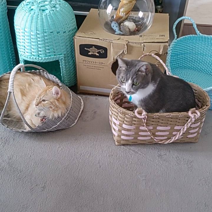 2c4fb065 9dbf 4168 83b3 5c5a3f1491ef 1661245745815