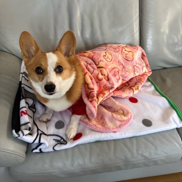 2c4fb525 ef8a 485c a897 ccb5b9cc9d5a 1765850276397