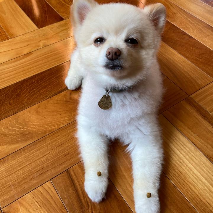 2c4fb56e 6950 4123 9a83 91ba29f0d0c5 1636194804803