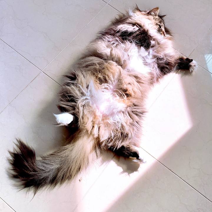 2c4fc973 3f24 4724 b130 ce28552c2077 1554469835259