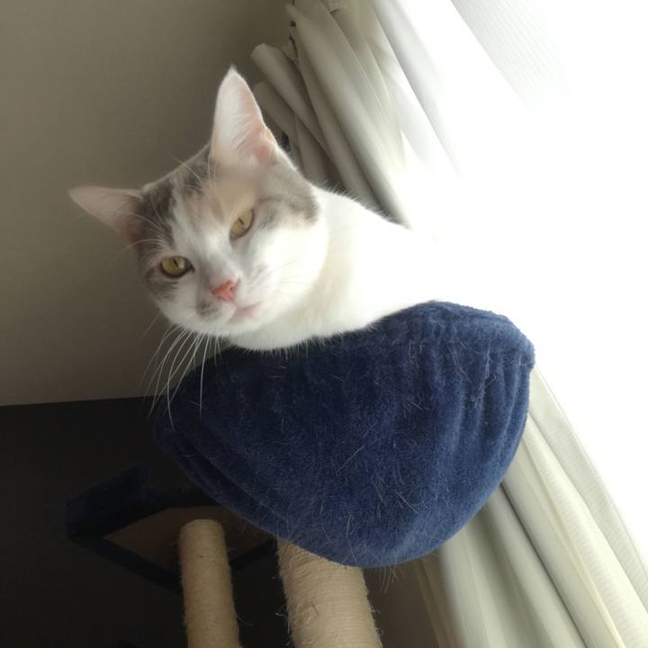 2c4fe909 60ef 4fbc 8fd0 1cda1b96a9ff 1524815604793