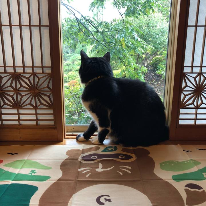 2c5032bc b5d3 4a89 a7bf c7442236e94e 1538197878712