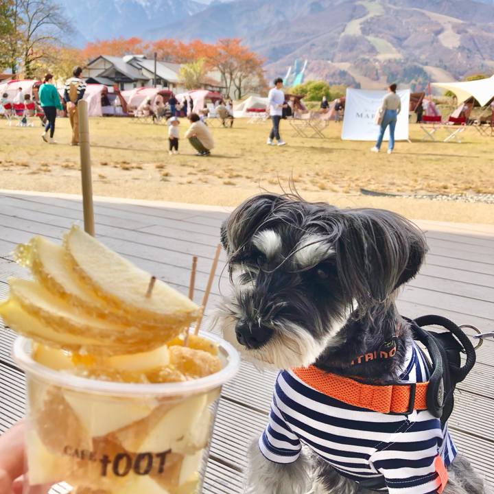 2c50451a a7a3 4053 8d08 18a7c46c5bac 1699152675140