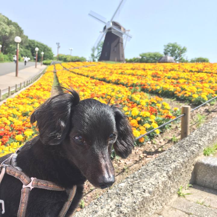 2c50482f cf6a 4aa3 a220 c204c422508d 1763557996591