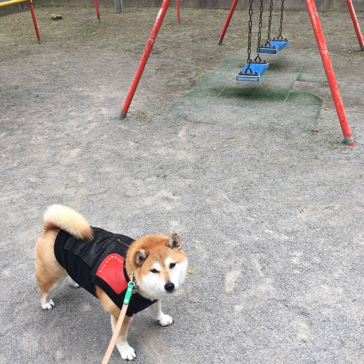 2c50765d b26d 41a2 a1b1 4b018cb8fdc2 1608778213219