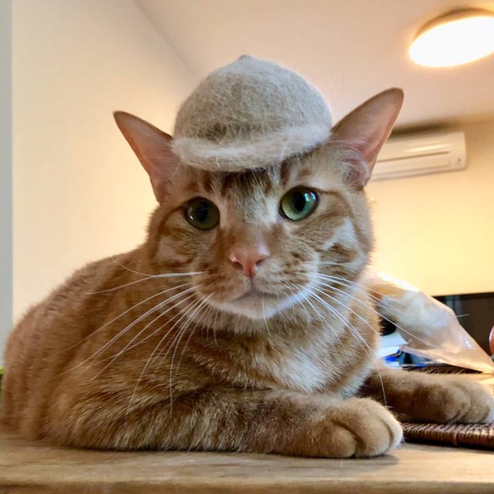 2c50843f 6110 42b0 8534 90ecfa021b3f 1518145984279