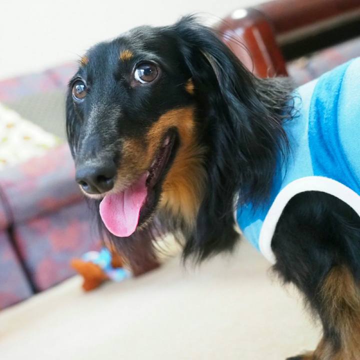 2c50b522 e59a 4715 99ce 79ea68d59d6b 1533260705005