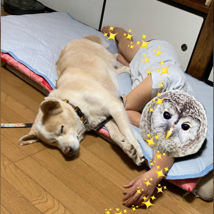 2c50db6c 6abe 47b2 960e 0f2987bba2ba 1595393944484