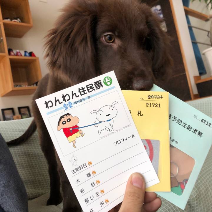 2c50f538 8022 463e a882 ab8cd79a6506 1555214556900