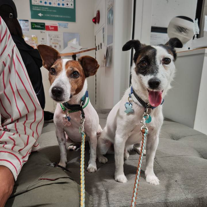 2c50f698 6faf 41a0 8fd6 837c926bf203 1725701041499