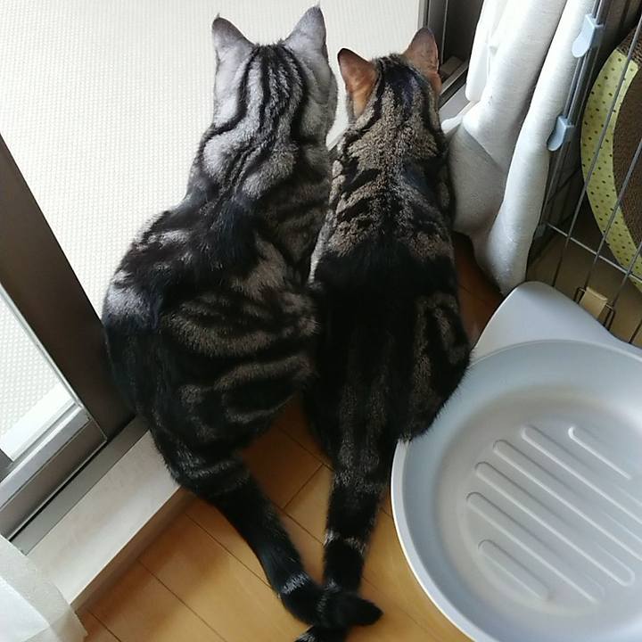 2c50f77e 1ea3 4eaf b884 d2694071292a 1591399834538