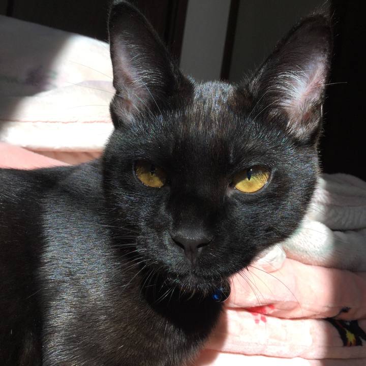 2c51027f 229a 47bb 9642 0e2d1895c434 1511618344228