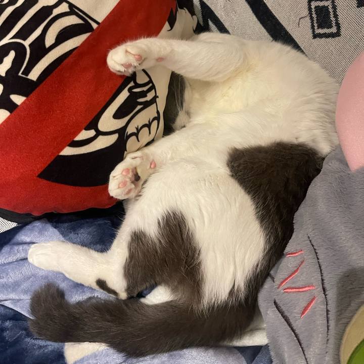 2c514387 5fbf 4fd5 a9a3 ffb030a157d2 1702128538038